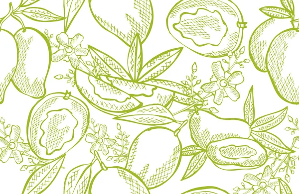 Elegante Patrón Sin Costuras Con Frutas Mango Elementos Diseño Patrón — Archivo Imágenes Vectoriales