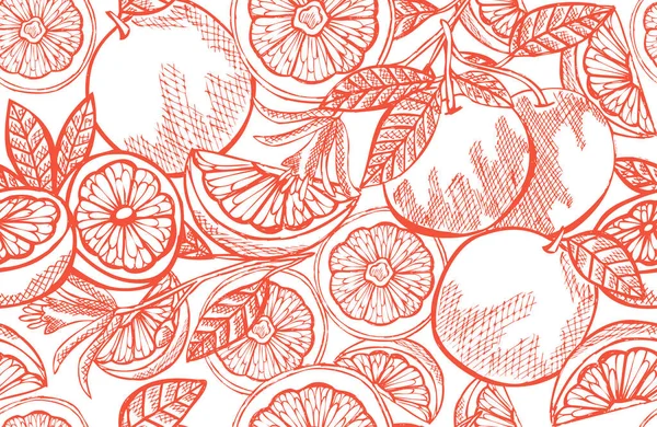 グレープフルーツ デザイン要素とエレガントなシームレスなパターン 招待状 カード ギフトラップ 壁紙のための果物パターン キッチン ベジタリアンのテーマ — ストックベクタ