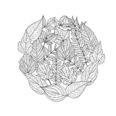 Dekoratif el yapımı yapraklar, tasarım elementleri. Kartlar, davetiyeler, afişler, posterler, baskı tasarımı için kullanılabilir. Sanat tarzında çiçek arkaplanı