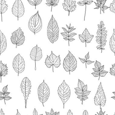 Elle çizilmiş yapraklarla, tasarım elementleriyle zarif, pürüzsüz bir desen. Davetiyeler, kartlar, baskı, hediye paketi, imalat, tekstil, kumaş, duvar kağıtları için çiçek deseni