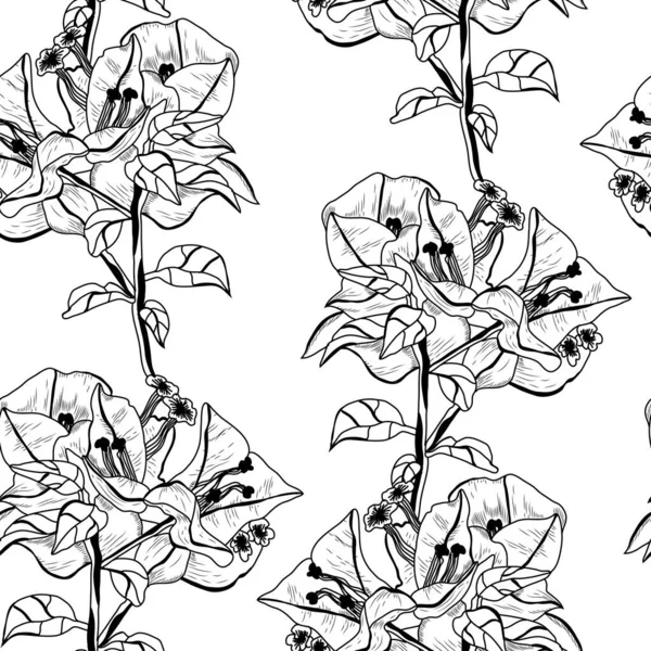 Elegant Sömlös Mönster Med Bougainvillea Blommor Designelement Blommönster För Inbjudningar — Stock vektor