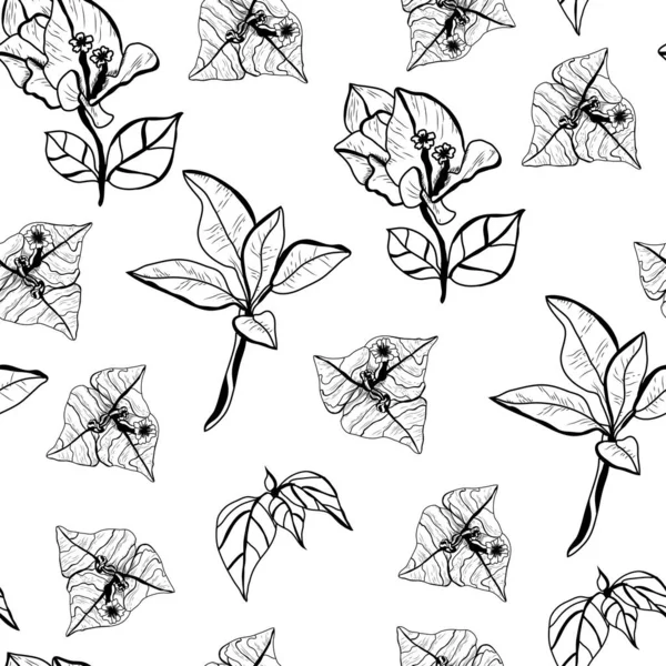 Κομψό Ενιαίο Μοτίβο Βουκαμβίλιες Λουλούδια Σχεδιαστικά Στοιχεία Floral Μοτίβο Για — Διανυσματικό Αρχείο