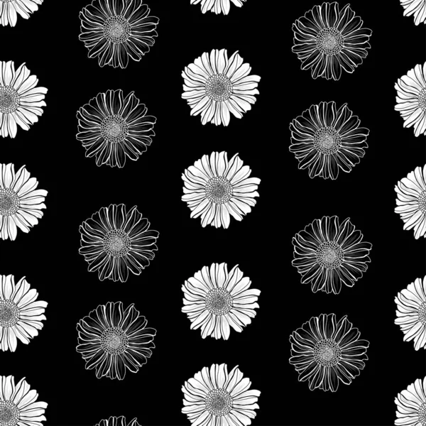 Elegant Seamless Pattern Aster Flowers Design Elements Floral Pattern Invitations — Stock Vector
