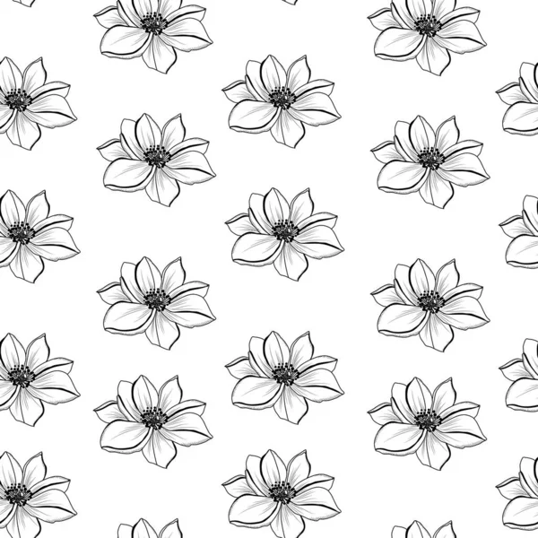 Elegante Naadloze Patroon Met Anemoon Bloemen Design Elementen Bloemen Patroon — Stockvector