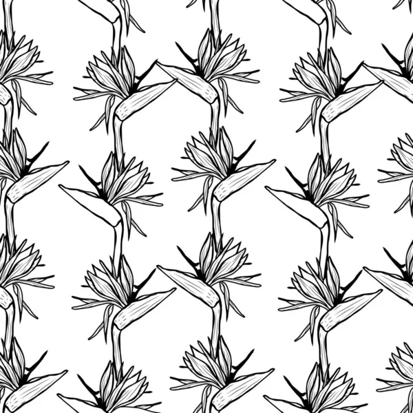 Elegant Naadloos Patroon Met Strelitzia Bloemen Design Elementen Bloemen Patroon — Stockvector