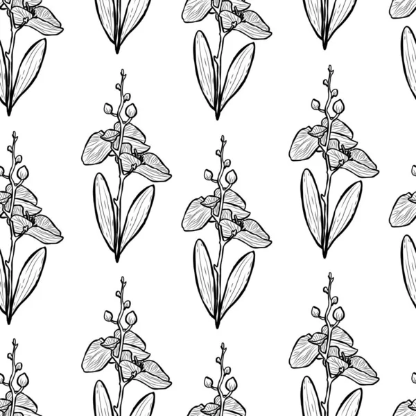 Elegant Sömlöst Mönster Med Orkidéblommor Designelement Blommönster För Inbjudningar Kort — Stock vektor