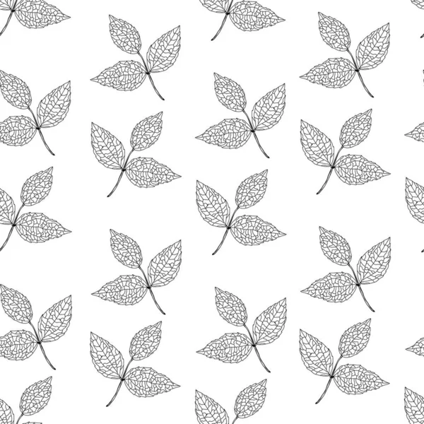 Елегантний Безшовний Візерунок Абстрактними Листям Елементами Дизайну Квітковий Візерунок Запрошень — стоковий вектор