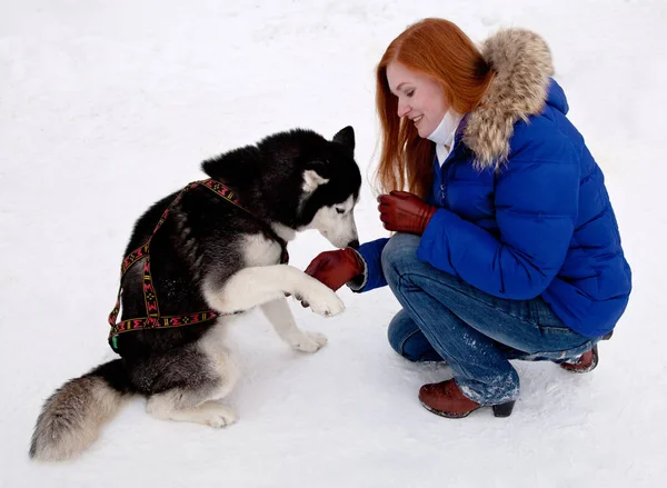 Jovem mulher e husky no inverno — Fotografia de Stock