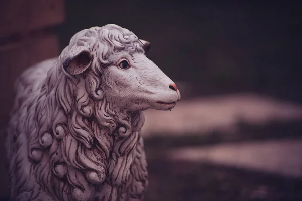 Plastic figure of a lamb in the garden