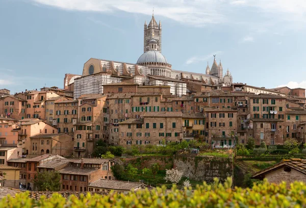 Siena historisches Zentrum (UNESCO-Weltkulturerbe) mit Torre del mangia am Frühling. Toskana, Italien. lizenzfreie Stockbilder