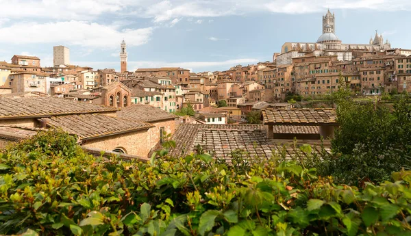 Siena centro storico in primavera. Toscana, Italia . — Foto Stock