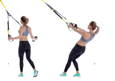 Trx L deltoid sinek