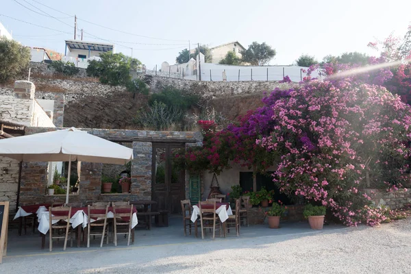 Çiçek Cafe Restoran — Stok fotoğraf