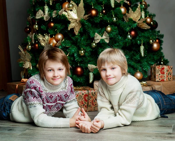 Αδέρφια με το χριστουγεννιάτικο δέντρο — Φωτογραφία Αρχείου