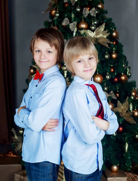 Noel ağacı kardeşlerle