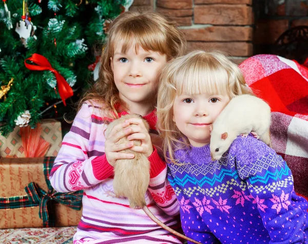 Dos hermanas con ratas —  Fotos de Stock