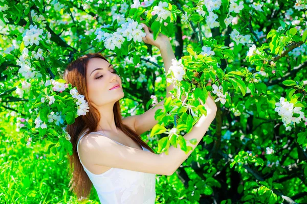 Frau mit Apfelbaum — Stockfoto