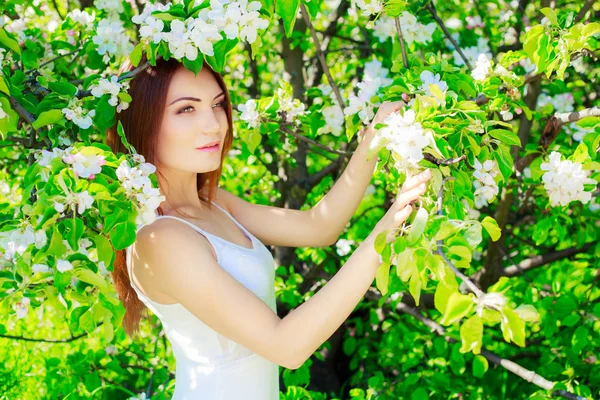 Woman with apple tree — Stock Photo, Image