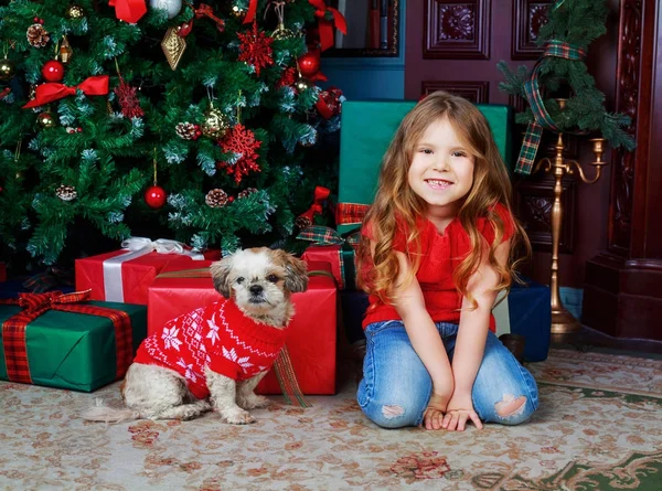 Chica en Navidad —  Fotos de Stock