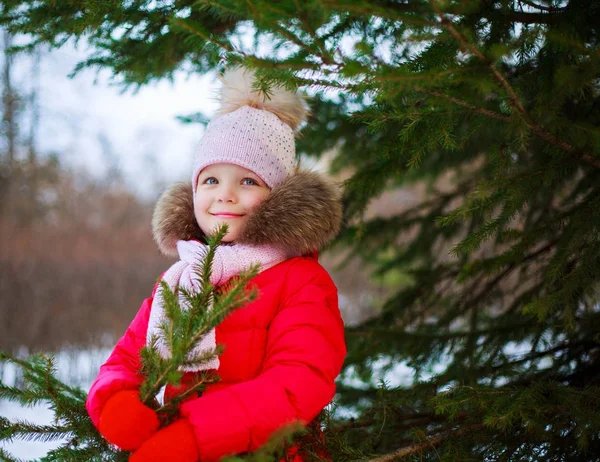 Meisje met een spar-boom — Stockfoto