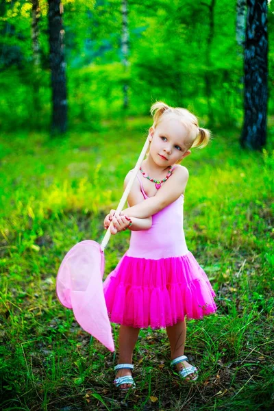 Ragazza con una rete a farfalla — Foto Stock