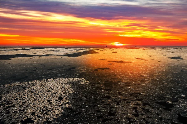 Gün batımında donmuş deniz — Stok fotoğraf