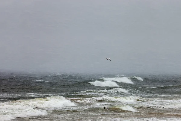 Denizde bir kar fırtınası — Stok fotoğraf