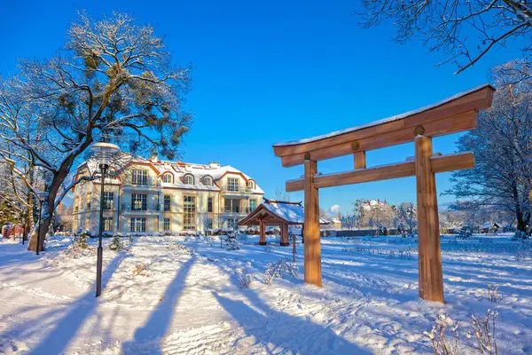 Winter park in Oliwa — Stock Photo, Image