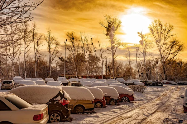 雪下的汽车 — 图库照片