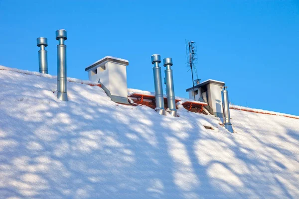 Albero in inverno — Foto Stock