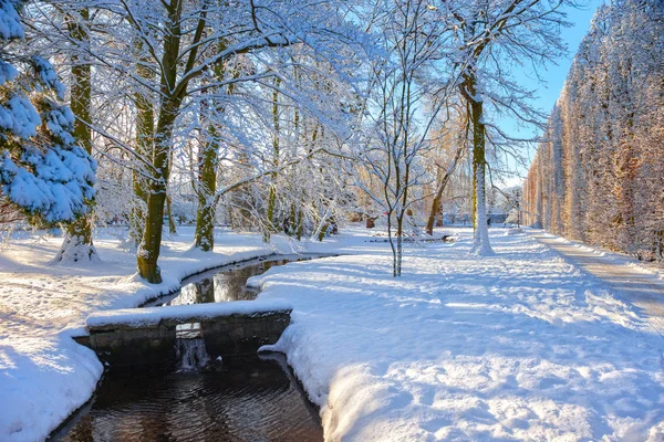 Parque de inverno em Oliwa — Fotografia de Stock