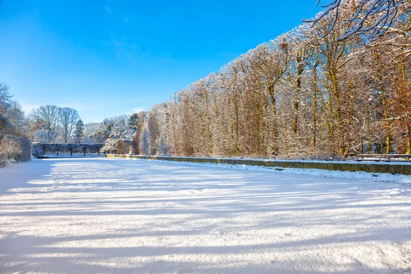 Parque de inverno em Oliwa — Fotografia de Stock