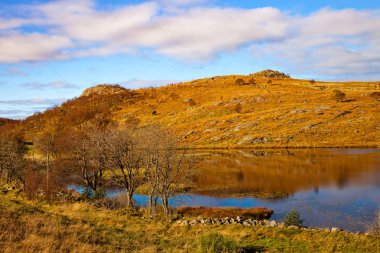 Güzel Norveç Manzarası