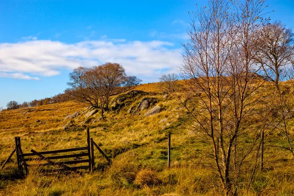 Beautiful Norway landscape — Stock Photo, Image