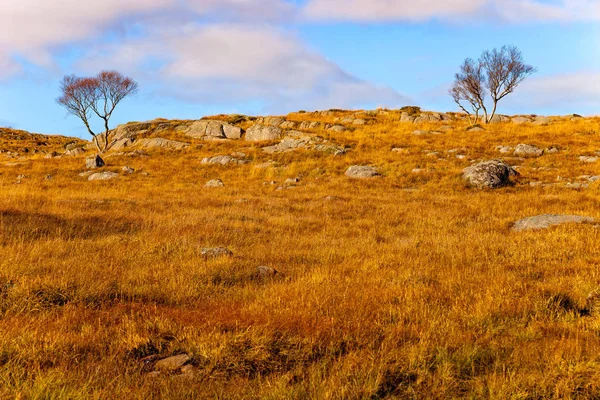 美しいノルウェーの風景 — ストック写真