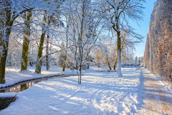 Winterpark in Oliwa — Stockfoto