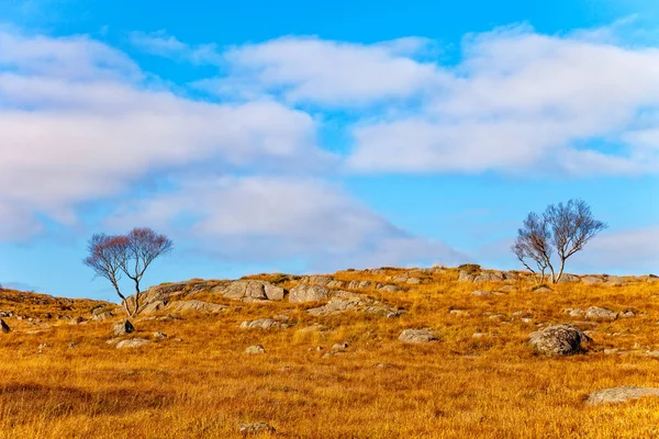 Bela paisagem da Noruega — Fotografia de Stock