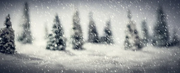 Winter forest with snow — Stock Photo, Image