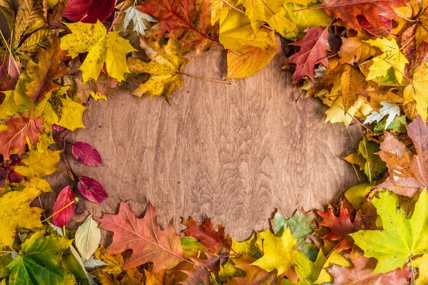 Telaio fatto di foglie autunnali — Foto Stock