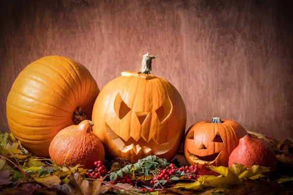 Abóboras de Halloween em folhas de outono — Fotografia de Stock