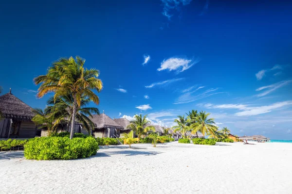 Playa con cocoteros — Foto de Stock