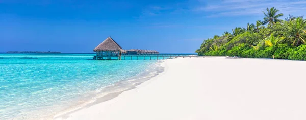 Tropisk ö i Maldiverna — Stockfoto