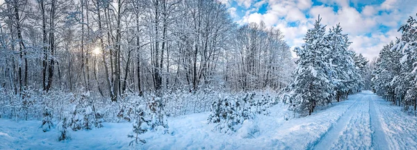 Kış park Panoraması — Stok fotoğraf