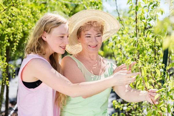 Бабуся і бабуся проводять час в саду — стокове фото