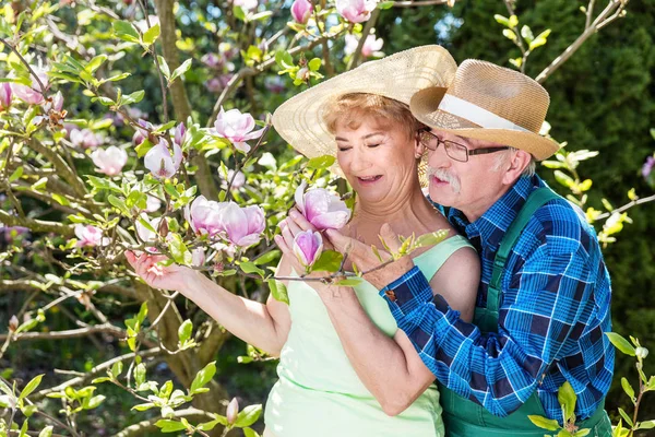 Starsza para przytulanie w magnolii kwitnie — Zdjęcie stockowe