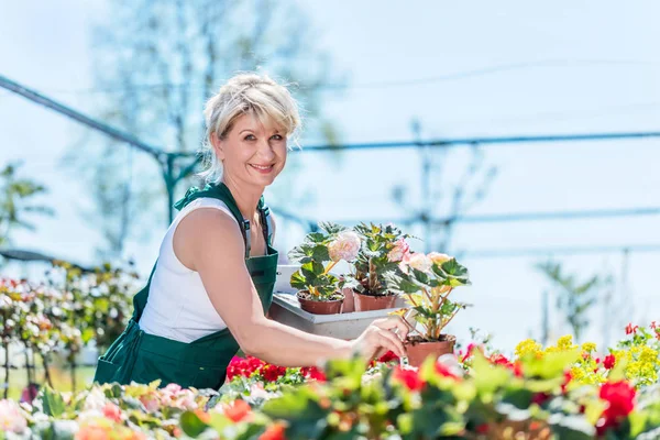 Gärtner sucht Blumen im Gartencenter aus. — Stockfoto