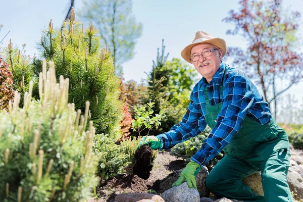 Jardinero senior cavando en el jardín . — Foto de Stock