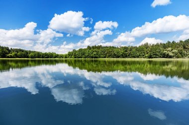 Summer lake landscape. clipart