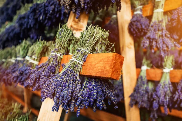 Getrocknete Lavendelsträuße hängen auf Holzleitern — Stockfoto