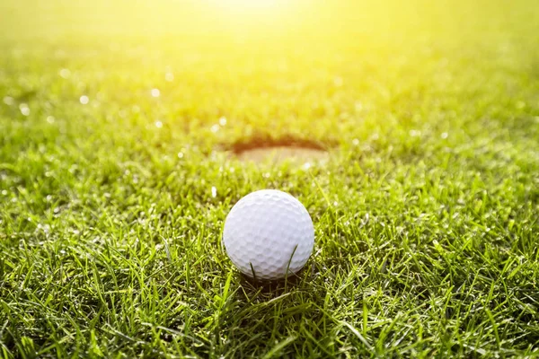Golfbal op een gras. — Stockfoto